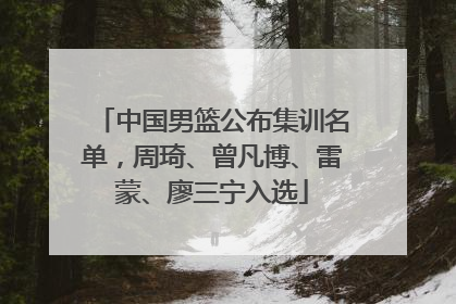 中国男篮公布集训名单，周琦、曾凡博、雷蒙、廖三宁入选