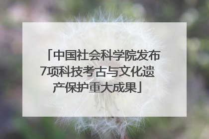 中国社会科学院发布7项科技考古与文化遗产保护重大成果