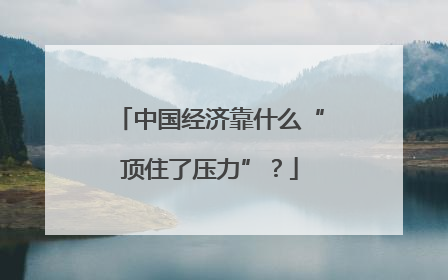 中国经济靠什么“顶住了压力”？