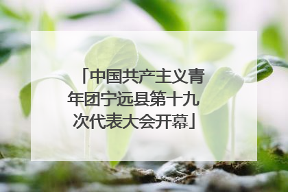 中国共产主义青年团宁远县第十九次代表大会开幕