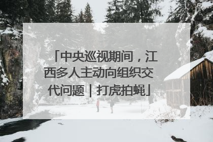 中央巡视期间，江西多人主动向组织交代问题｜打虎拍蝇