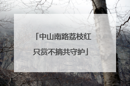 中山南路荔枝红 只赏不摘共守护