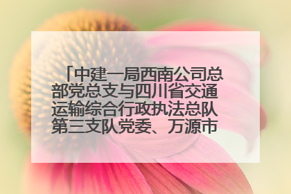 中建一局西南公司总部党总支与四川省交通运输综合行政执法总队第三支队党委、万源市草坝镇莲花院村党支部开展党建联建