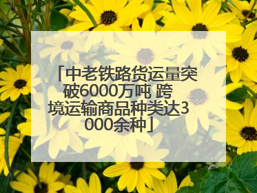 中老铁路货运量突破6000万吨 跨境运输商品种类达3000余种