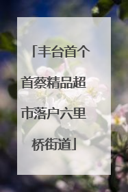 丰台首个首蔡精品超市落户六里桥街道