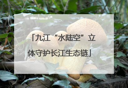 九江“水陆空”立体守护长江生态链