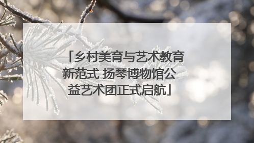 乡村美育与艺术教育新范式 扬琴博物馆公益艺术团正式启航