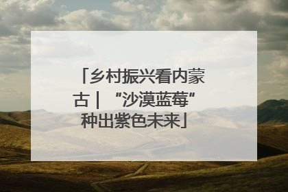 乡村振兴看内蒙古｜“沙漠蓝莓”种出紫色未来