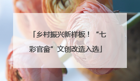 乡村振兴新样板！“七彩官畲”文创改造入选