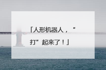 人形机器人，“打”起来了！