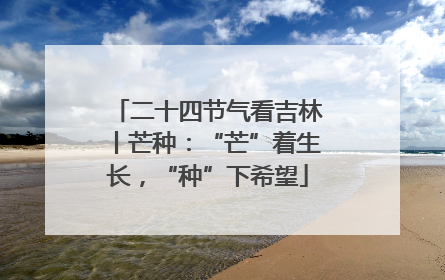 二十四节气看吉林丨芒种：“芒”着生长，“种”下希望