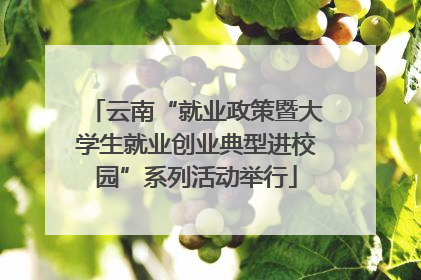 云南“就业政策暨大学生就业创业典型进校园”系列活动举行