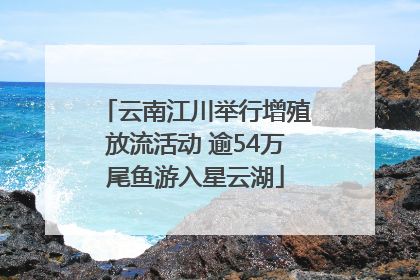 云南江川举行增殖放流活动 逾54万尾鱼游入星云湖