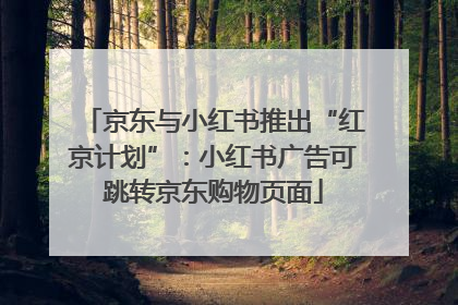京东与小红书推出“红京计划”：小红书广告可跳转京东购物页面
