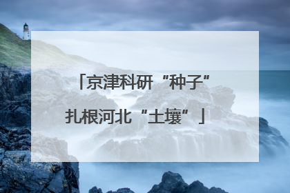 京津科研“种子”扎根河北“土壤”