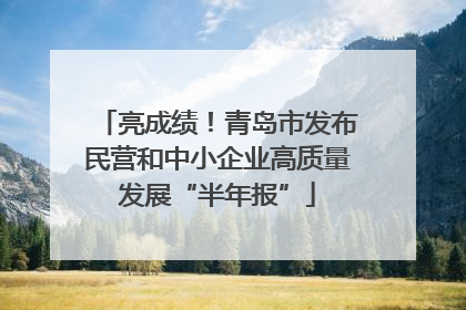 亮成绩！青岛市发布民营和中小企业高质量发展“半年报”