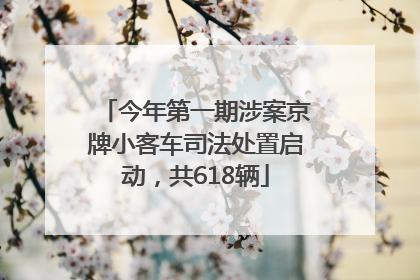 今年第一期涉案京牌小客车司法处置启动，共618辆