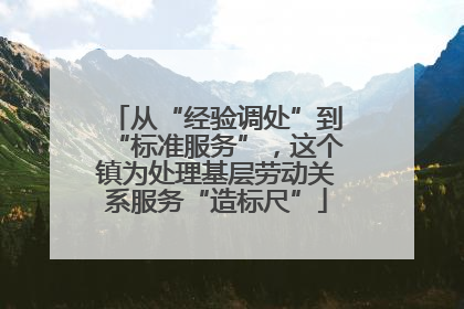 从“经验调处”到“标准服务”，这个镇为处理基层劳动关系服务“造标尺”