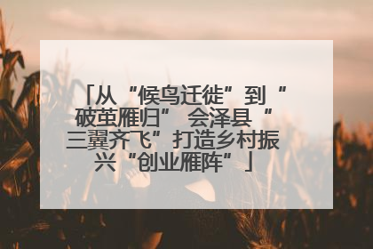 从“候鸟迁徙”到“破茧雁归” 会泽县“三翼齐飞”打造乡村振兴“创业雁阵”