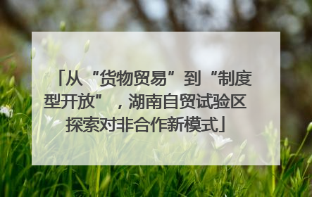 从“货物贸易”到“制度型开放”，湖南自贸试验区探索对非合作新模式