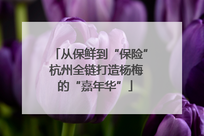 从保鲜到“保险” 杭州全链打造杨梅的“嘉年华”