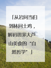 从岩间当归到林间土鸡，解码思茅大芦山美食的“自然哲学”
