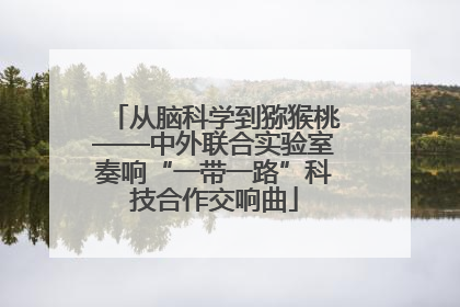 从脑科学到猕猴桃——中外联合实验室奏响“一带一路”科技合作交响曲