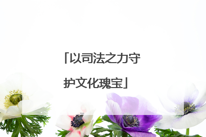 以司法之力守护文化瑰宝