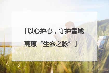 以心护心，守护雪域高原“生命之脉”