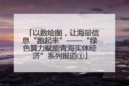 以数绘图，让海量信息“跑起来”——“绿色算力赋能青海实体经济”系列报道①