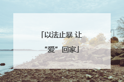 以法止暴 让“爱”回家