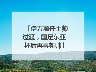 伊万离任土帅过渡，国足东亚杯后再寻新帅