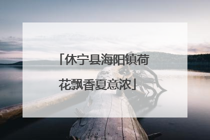 休宁县海阳镇荷花飘香夏意浓