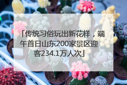 传统习俗玩出新花样，端午首日山东200家景区迎客234.1万人次