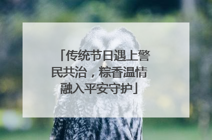 传统节日遇上警民共治，粽香温情融入平安守护