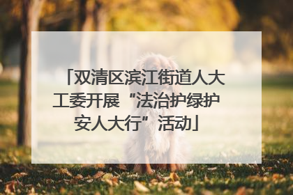 双清区滨江街道人大工委开展“法治护绿护安人大行”活动