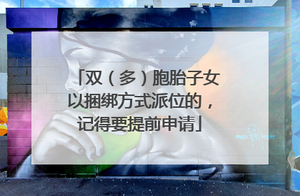 双（多）胞胎子女以捆绑方式派位的，记得要提前申请