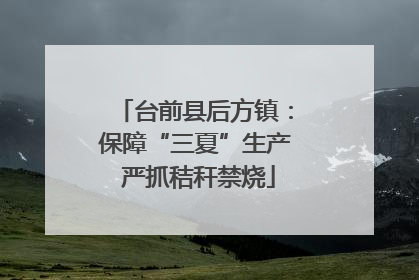 台前县后方镇：保障“三夏”生产 严抓秸秆禁烧