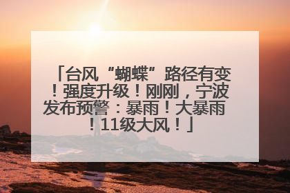 台风“蝴蝶”路径有变！强度升级！刚刚，宁波发布预警：暴雨！大暴雨！11级大风！