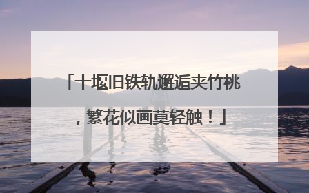 十堰旧铁轨邂逅夹竹桃，繁花似画莫轻触！