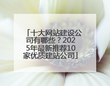 十大网站建设公司有哪些？2025年最新推荐10家优质建站公司