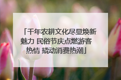 千年农耕文化尽显焕新魅力 民俗节庆点燃游客热情 撬动消费热潮
