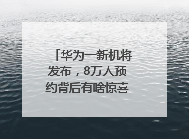 华为一新机将发布，8万人预约背后有啥惊喜？｜热财经
