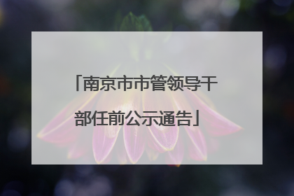 南京市市管领导干部任前公示通告