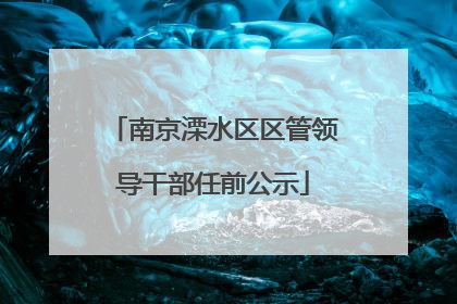 南京溧水区区管领导干部任前公示