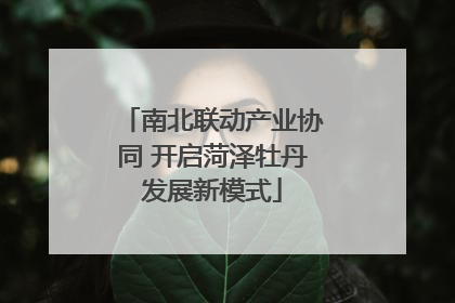 南北联动产业协同 开启菏泽牡丹发展新模式