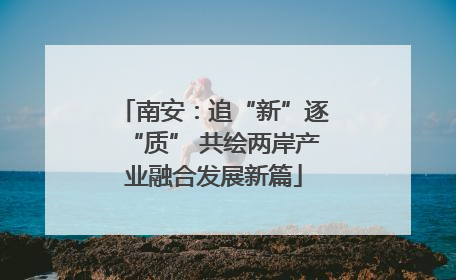 南安：追“新”逐“质” 共绘两岸产业融合发展新篇