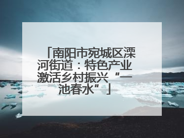 南阳市宛城区溧河街道：特色产业激活乡村振兴“一池春水”