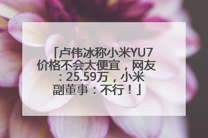 卢伟冰称小米YU7价格不会太便宜，网友：25.59万，小米副董事：不行！