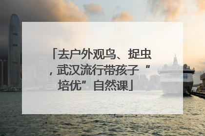 去户外观鸟、捉虫，武汉流行带孩子“培优”自然课